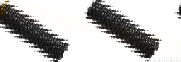 Set Screw: M12 x 1.75 x 100 mm, Soft Tip Point, Steel, Grade 5.8